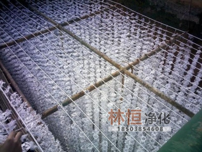 组合填料